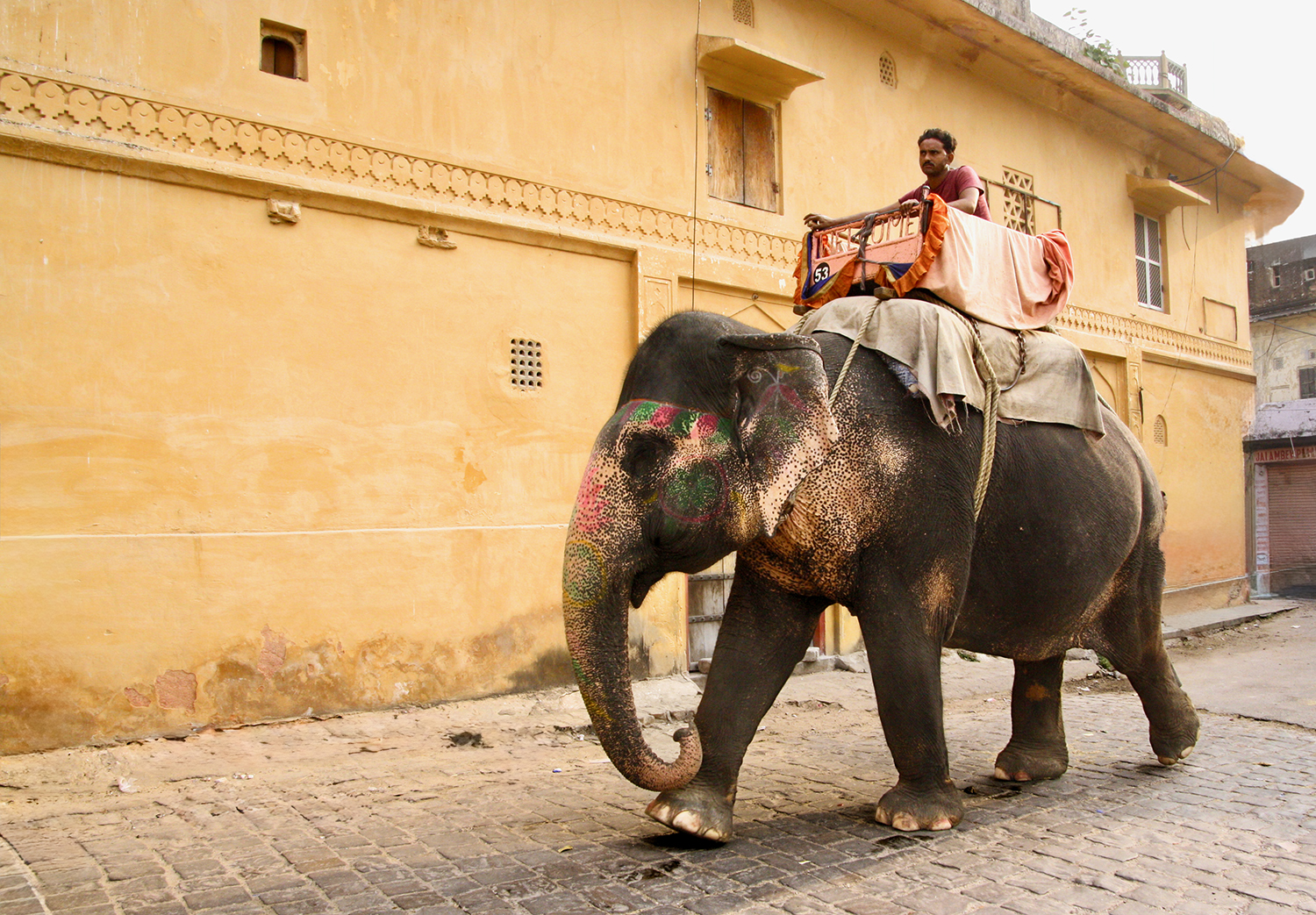 Amer Detail — Rajasthan