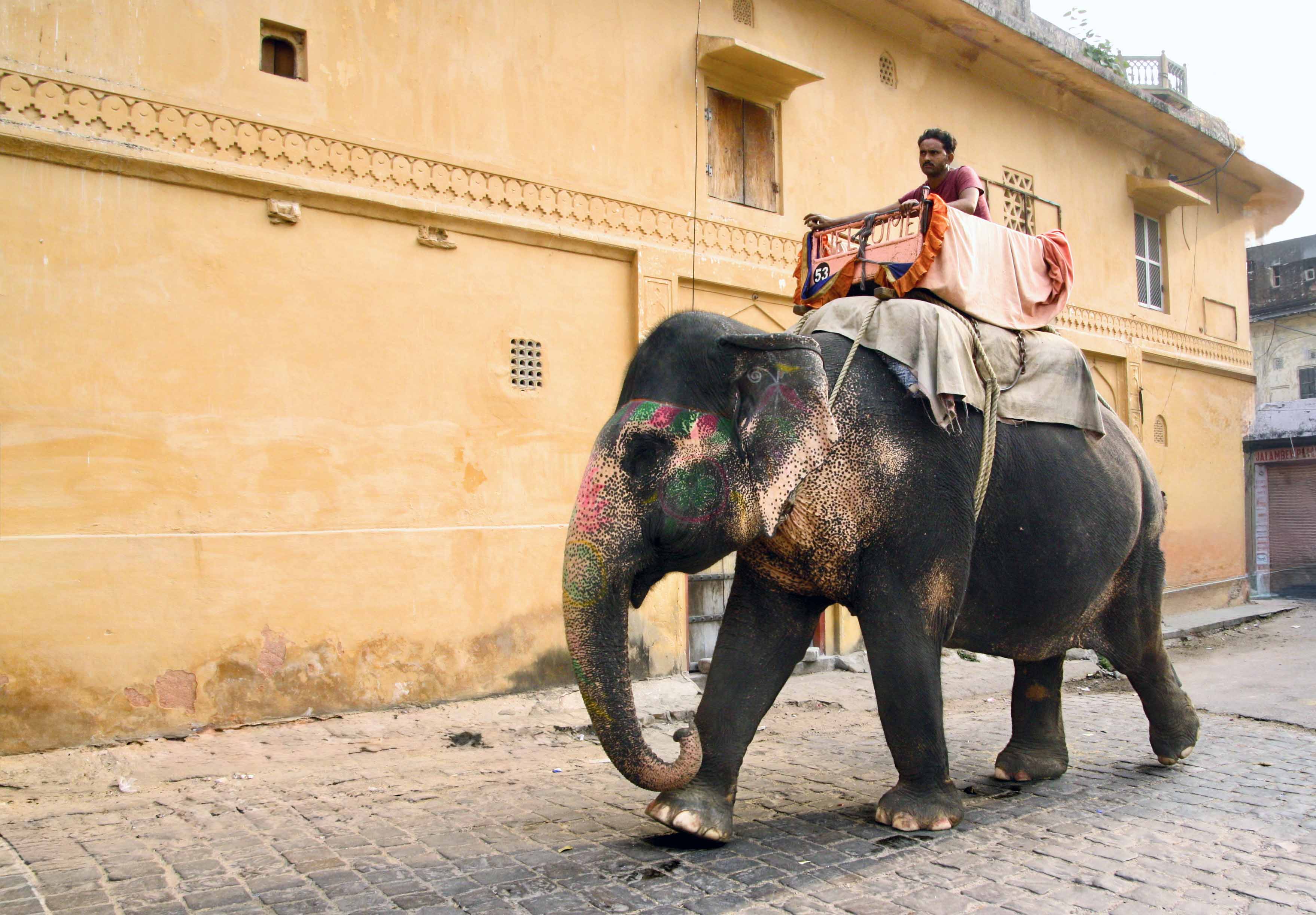 Amer — Rajasthan