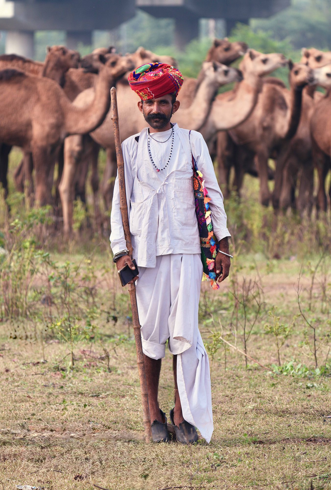 Chandrabhaga Cattle Fair — Rajasthan
