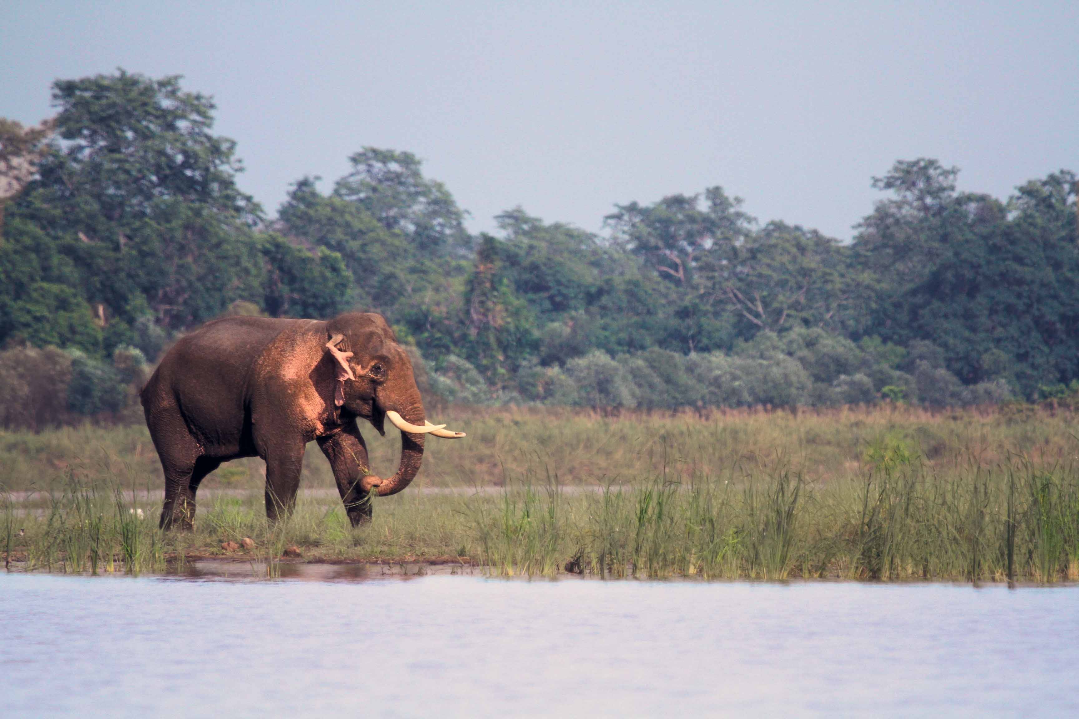 Duddhwa — Uttar Pradesh