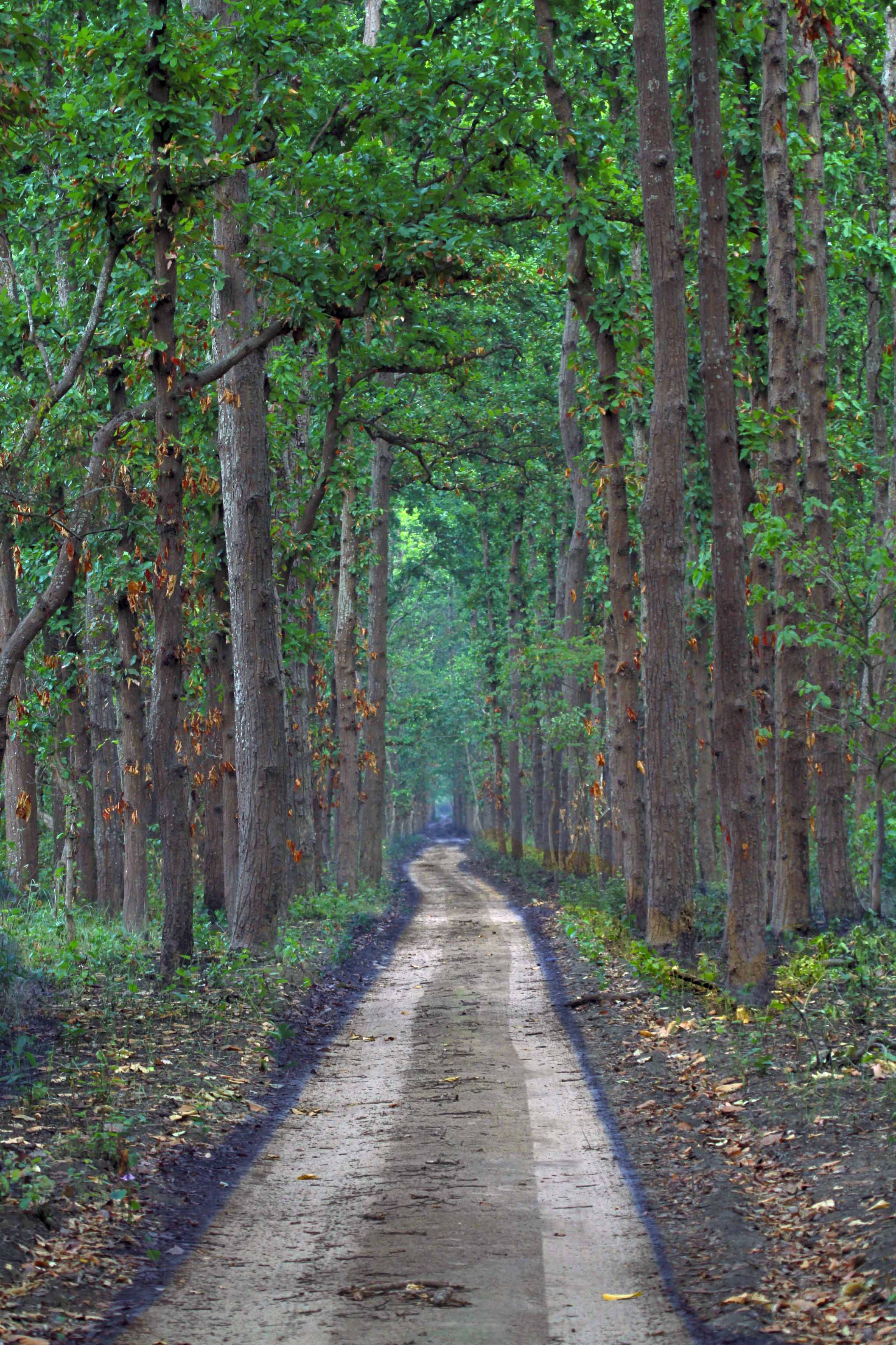 Dudhwa — Uttar Pradesh