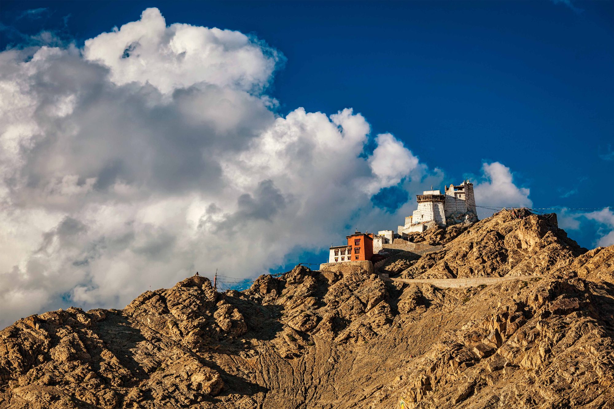 Namgyal Tsem Gompa And Fort Leh Ladakh — Ladakh