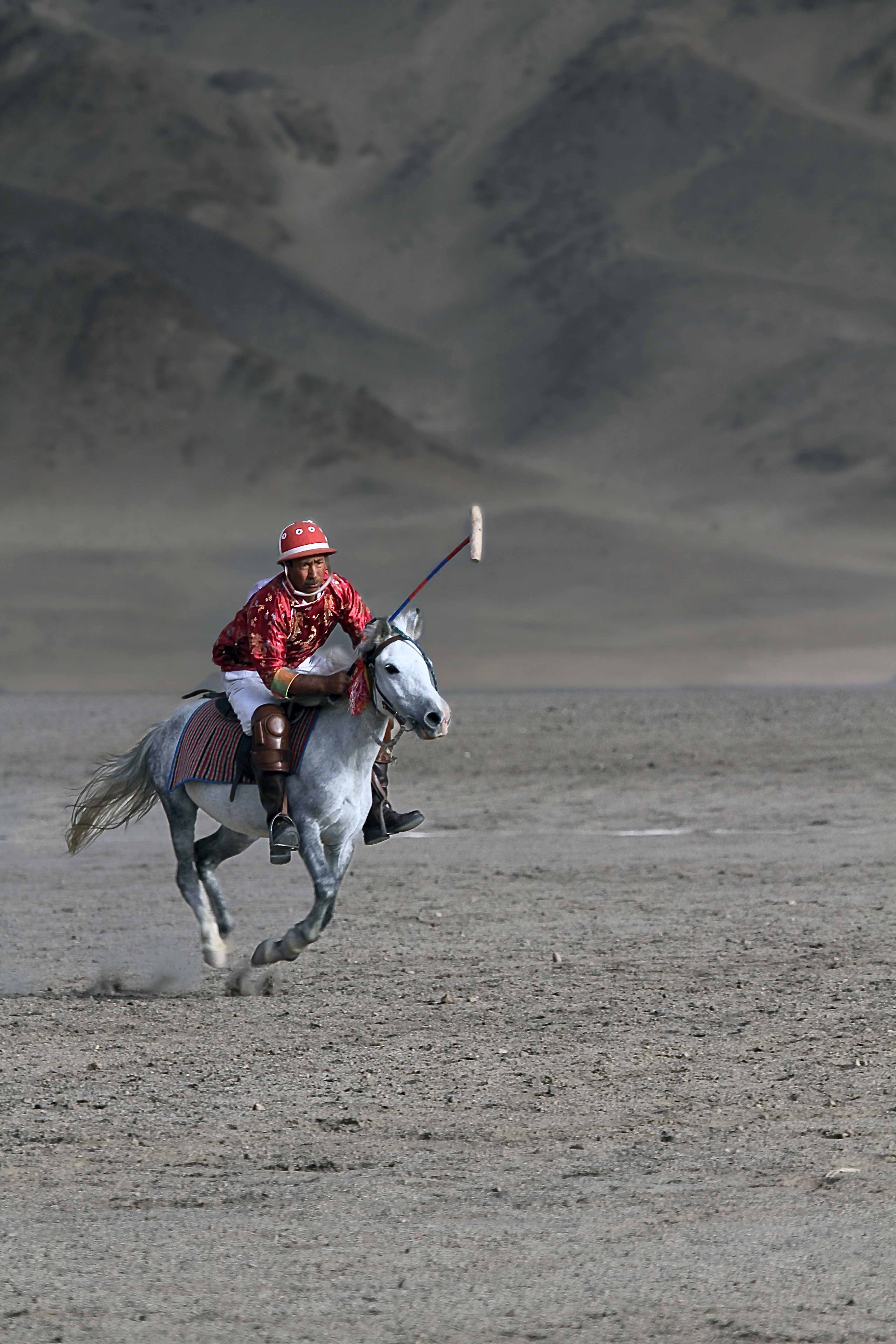Polo — Ladakh