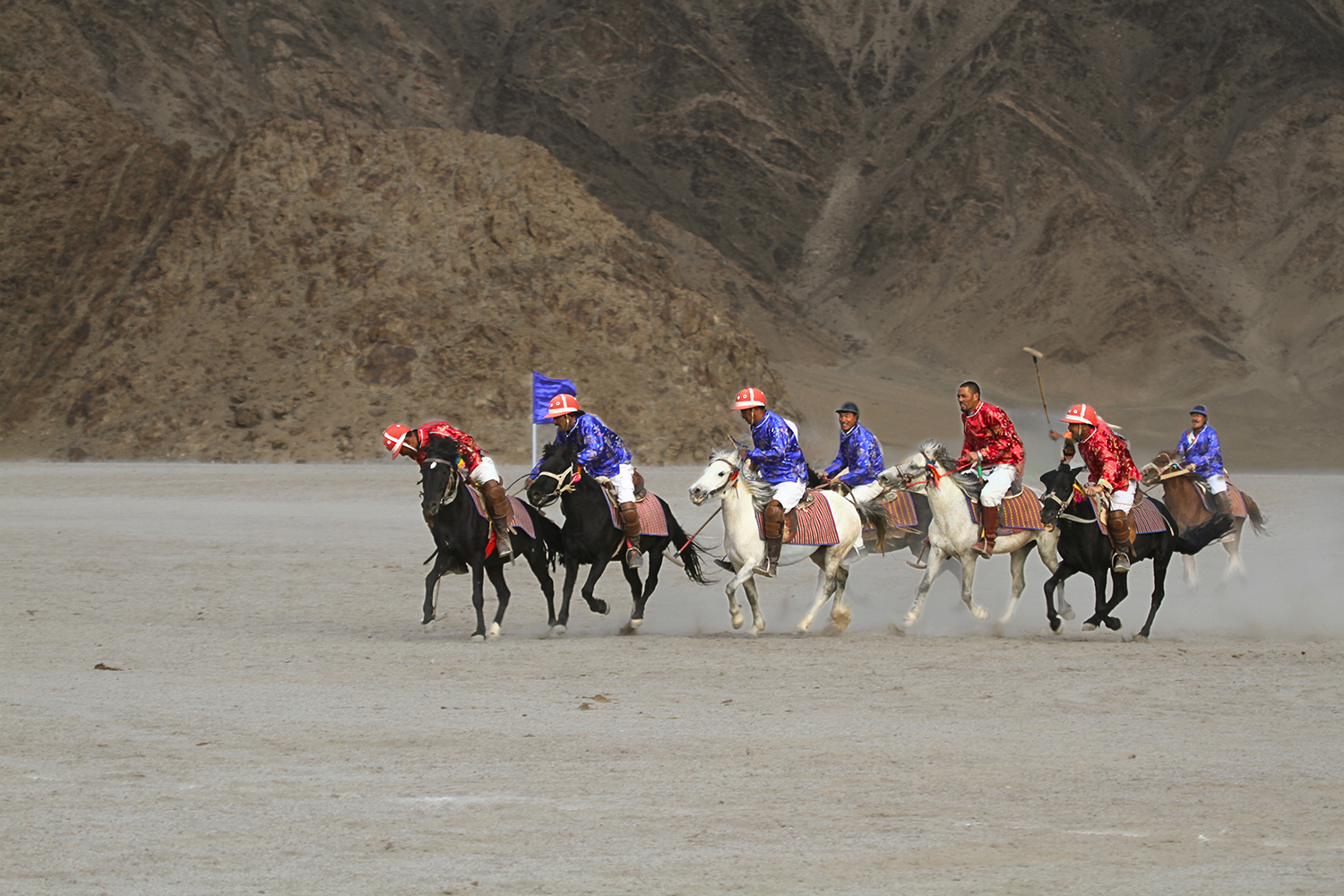 Polo Country — Ladakh