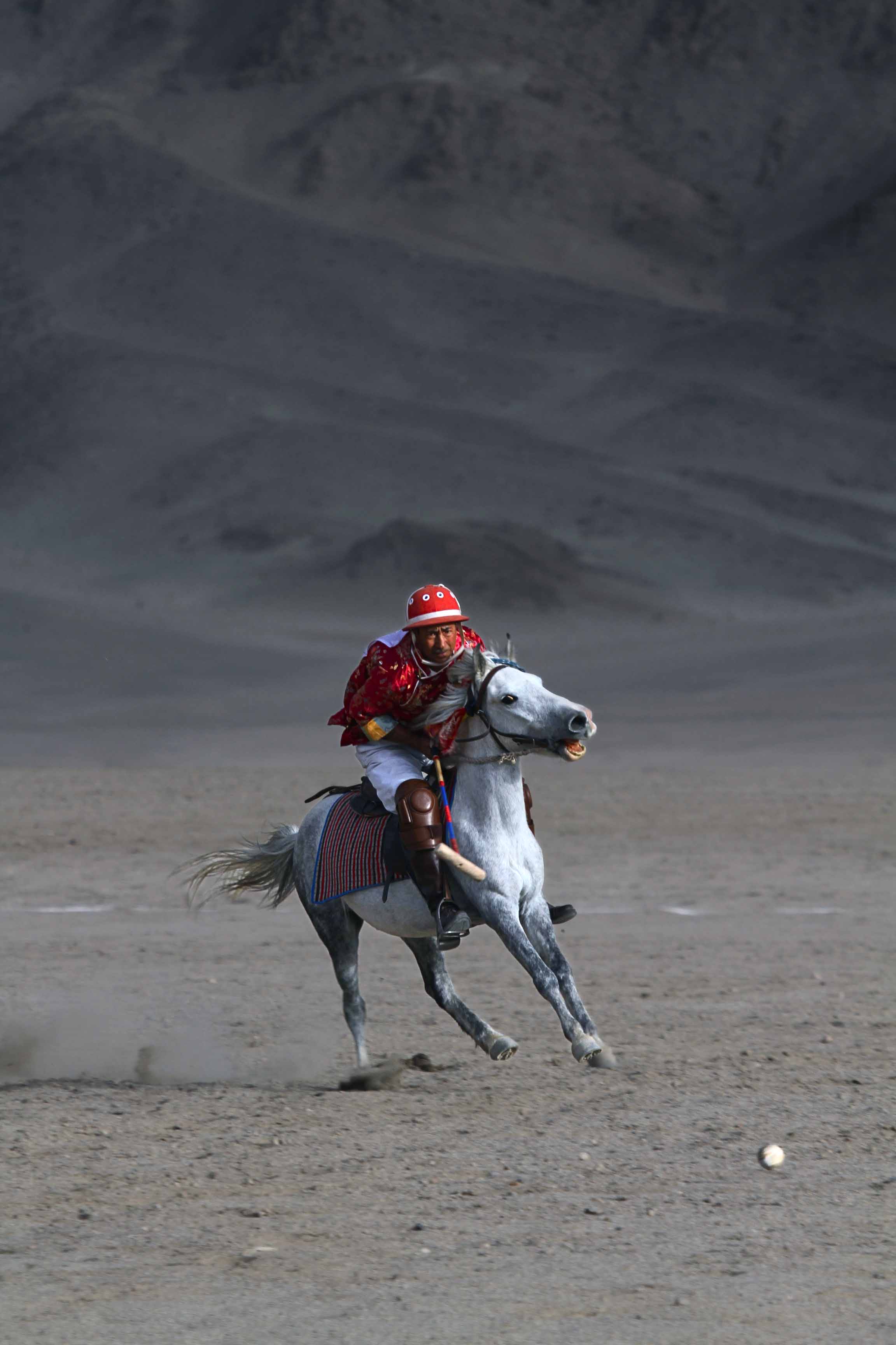 Polo — Ladakh