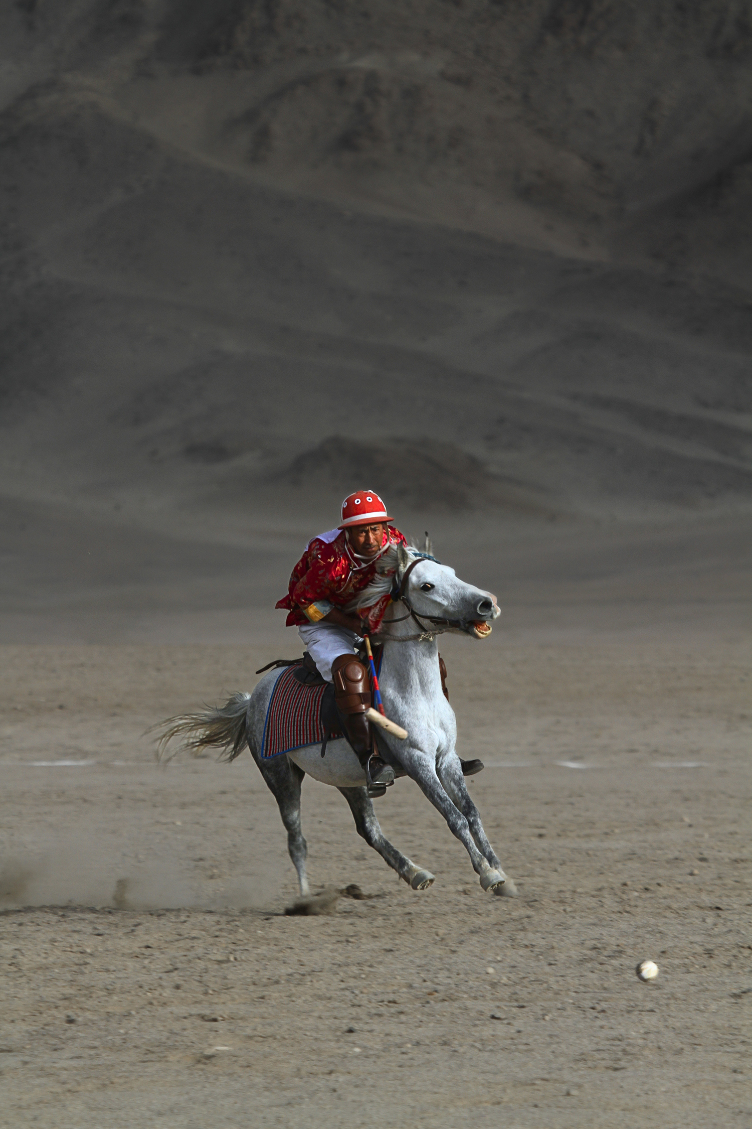 Mallets & Manes — Ladakh