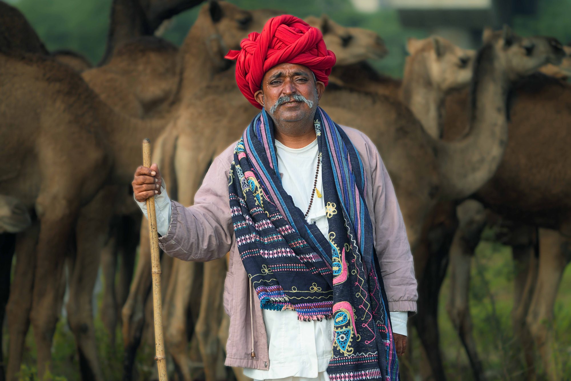 Rajasthan — Rajasthan