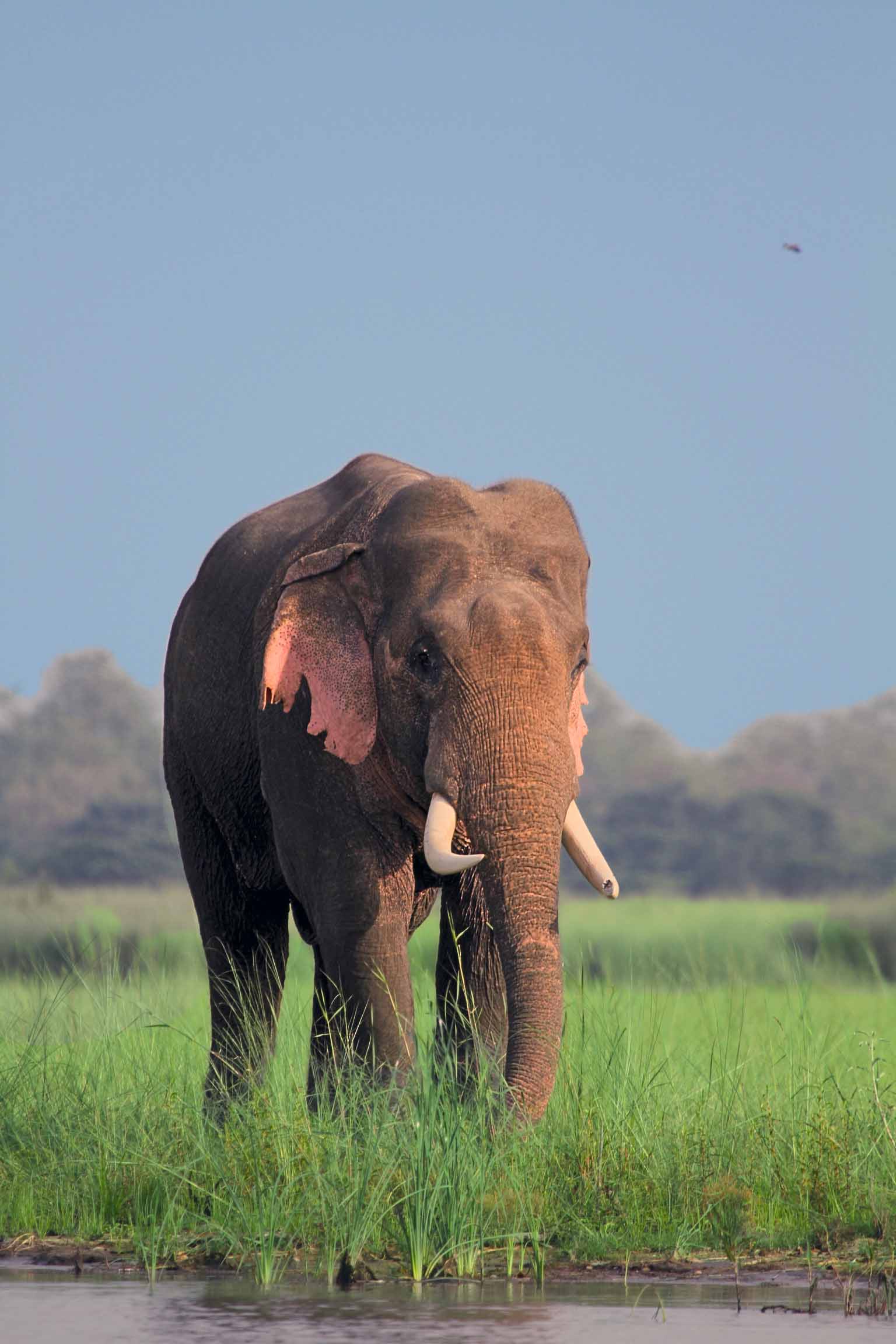Uttar Pradesh — Uttar Pradesh