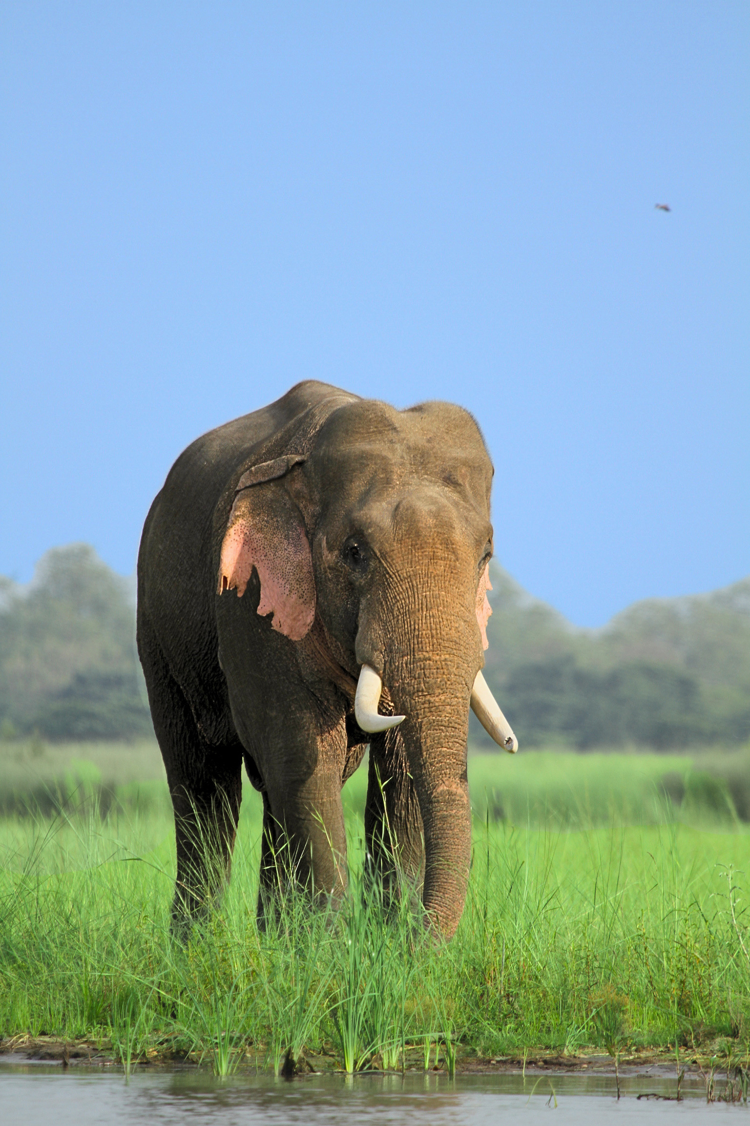 UP, Unframed — Uttar Pradesh